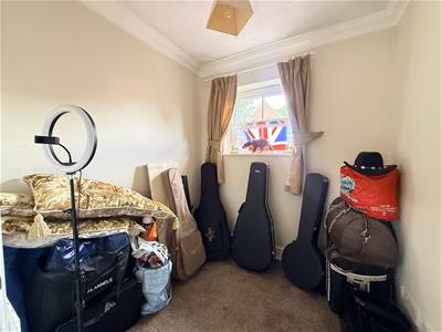 Picture 24